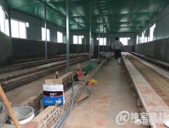 新建養(yǎng)殖場(chǎng)，用彩鋼瓦怎么樣？對(duì)養(yǎng)殖有影響嗎？